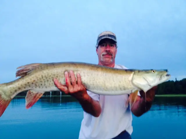 2015 Fish Gallery photo 3