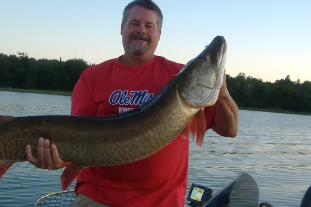 2016 Fish Gallery photo 5