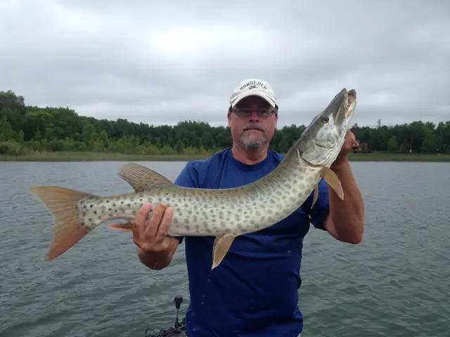 2016 Fish Gallery photo 3