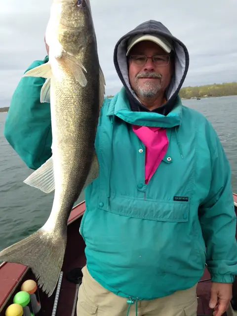 2016 Fish Gallery photo 4