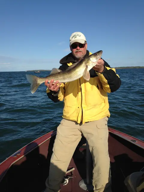 2016 Fish Gallery photo 7