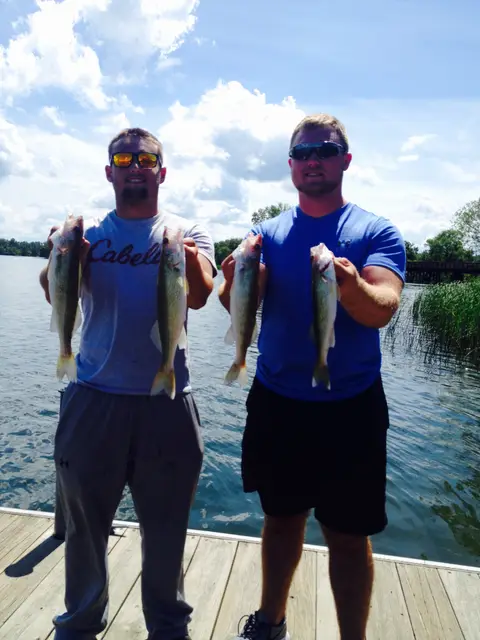 2016 Fish Gallery photo 6