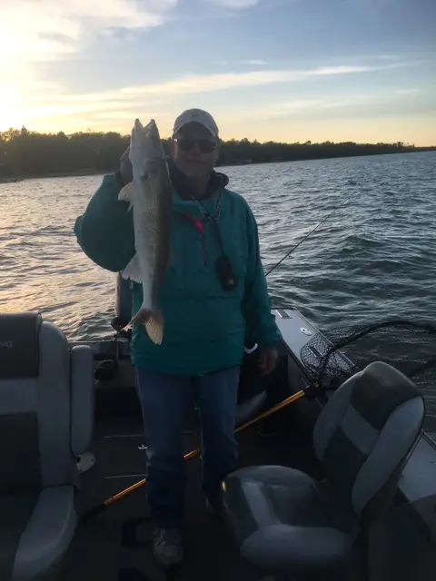 2017 Fish Gallery photo 4