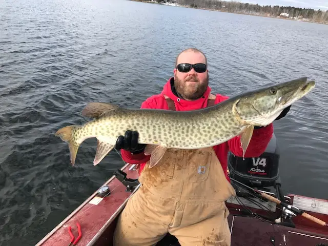 2017 Fish Gallery photo 1