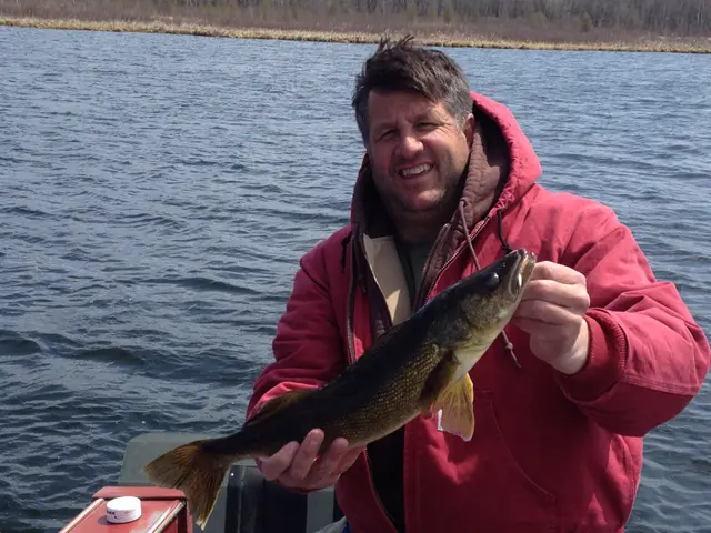 2015 Fish Gallery photo 2