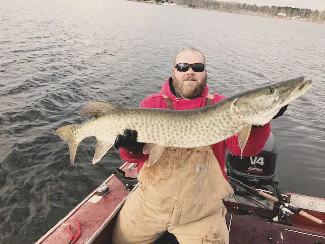 Angler holding a walleye caught on Leech Lake