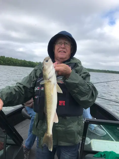 2018 Fish Gallery photo 9
