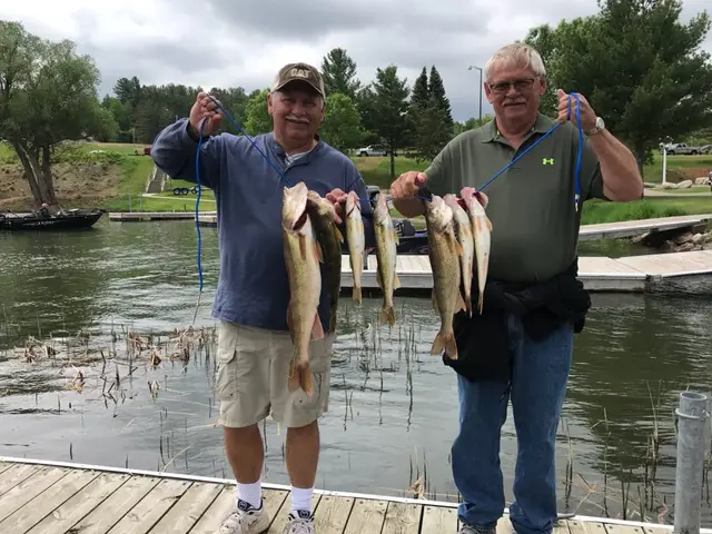 2018 Fish Gallery photo 10