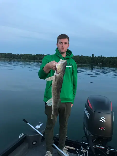 2018 Fish Gallery photo 14