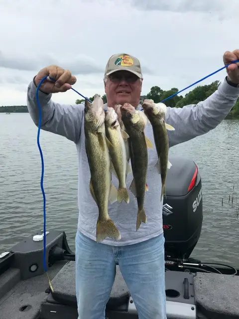 2018 Fish Gallery photo 13