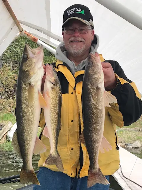 2019 Fish Gallery photo 5