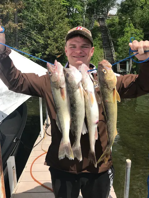 2019 Fish Gallery photo 9