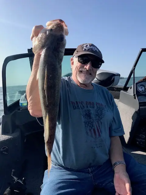 2019 Fish Gallery photo 18