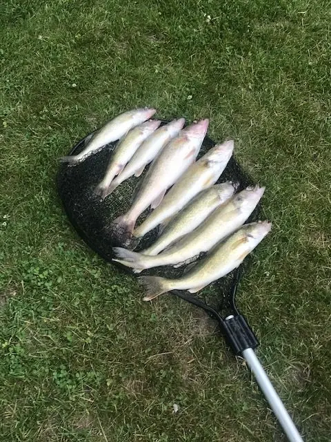 2020 Fishing Gallery photo 11