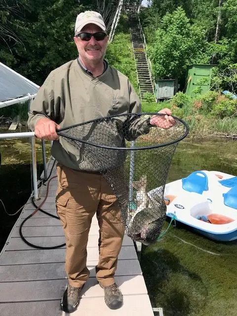 catching fish