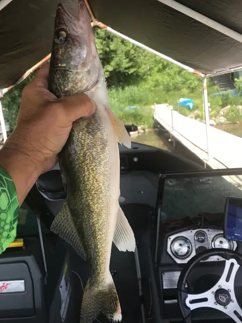 2020 Fishing Gallery photo 41