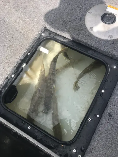 2021 Fishing Gallery photo 2