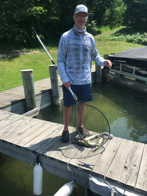 2022 Fish Gallery photo 8