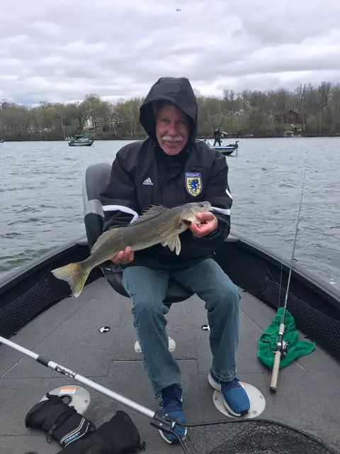 2022 Fish Gallery photo 1